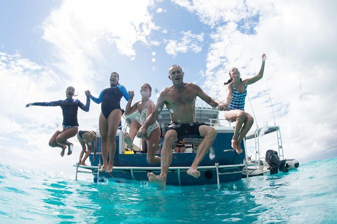 Swim with Whale Sharks in the Ningaloo Reef: 3 Island Shark Dive - Who Is This Tour Best For?