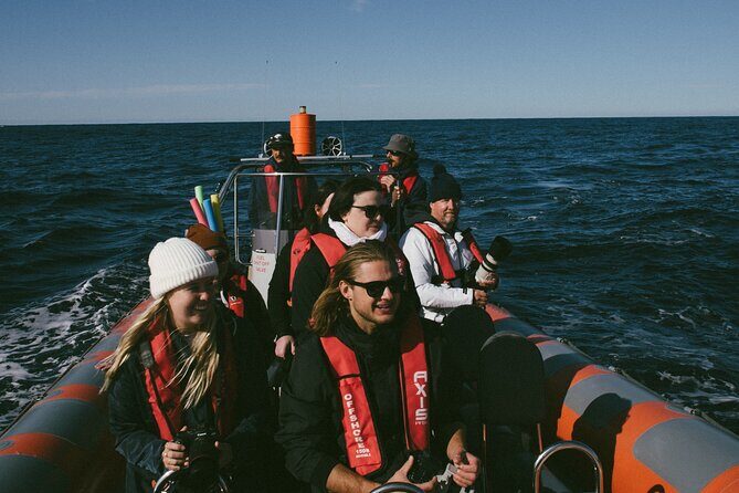 Swim with Whales Gold Coast - FAQs