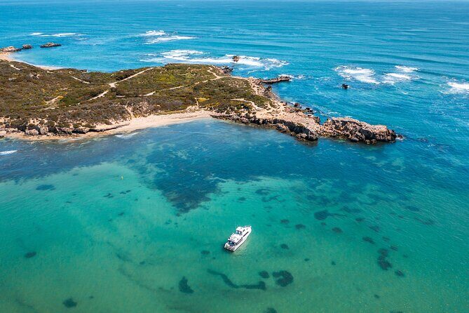 Swim with Wild Dolphins Day Tour - Final thoughts