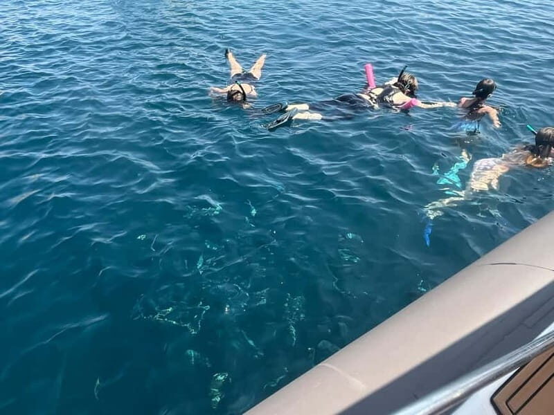 Swimming and snorkeling in the Frioul creeks - Who is this experience best suited for?