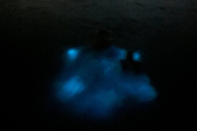 swimming-bioluminiscent-bay-tour-in-la-parguera