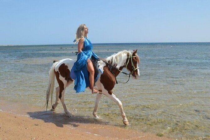 Swimming by Horse 3 Hours ,Beach, Desert & Dinner - Hurghada - What to Expect from This Hurghada Horseback Adventure