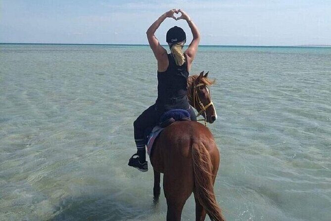 Swimming by Horse 3 Hours ,Beach, Desert & Dinner - Hurghada - The Sum Up