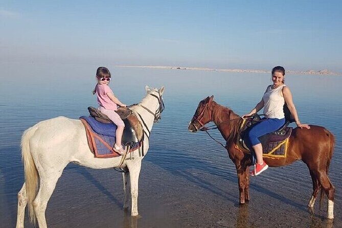 Swimming by Horse 3 Hours ,Beach, Desert & Dinner - Hurghada - FAQ