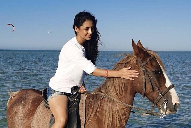 Swimming by Horse at Red Sea Beach & Desert with Dinner- Hurghada - The Itinerary: What to Expect from Start to Finish