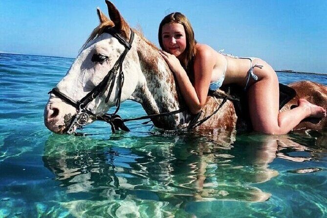 Swimming by Horse at Red Sea Beach & Desert with Dinner- Hurghada - Authentic Insights from Reviewers