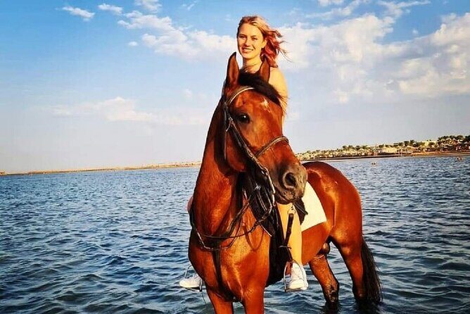 Swimming by Horse at Red Sea Beach & Desert with Dinner- Hurghada - Who Will Love This Tour?