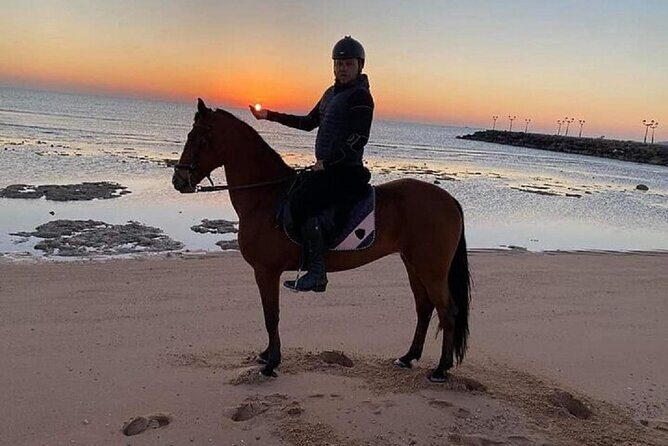 Swimming by Horse at Red Sea Beach & Desert with Dinner- Hurghada - The Sum Up