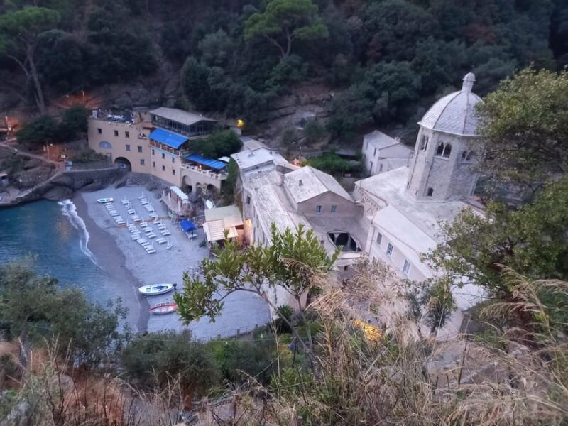 swimming-cetacea-private-tour-boat-genova-portofino