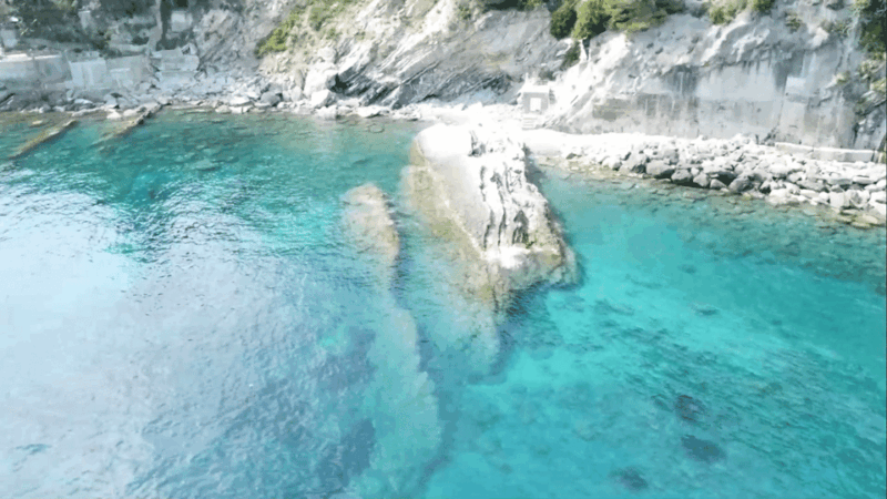 swimming-cetacea-private-tour-boat-genova-portofino