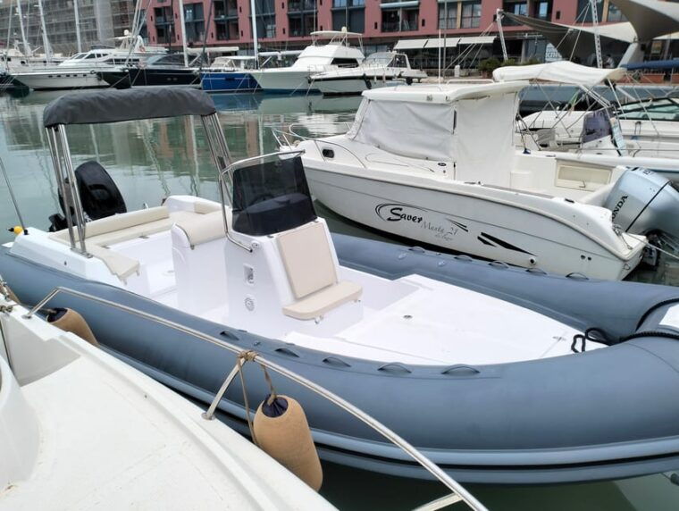 swimming-cetacea-private-tour-boat-genova-portofino