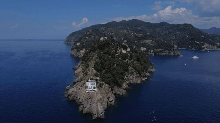 swimming-cetacea-private-tour-boat-genova-portofino