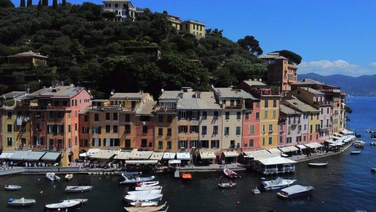 swimming-cetacea-private-tour-boat-genova-portofino