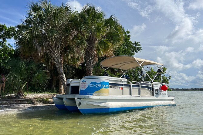 swimming-in-a-dolphin-and-manatee-lagoon-boat-tour