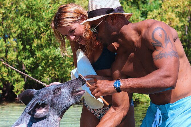 swimming-pigs-atv-tour