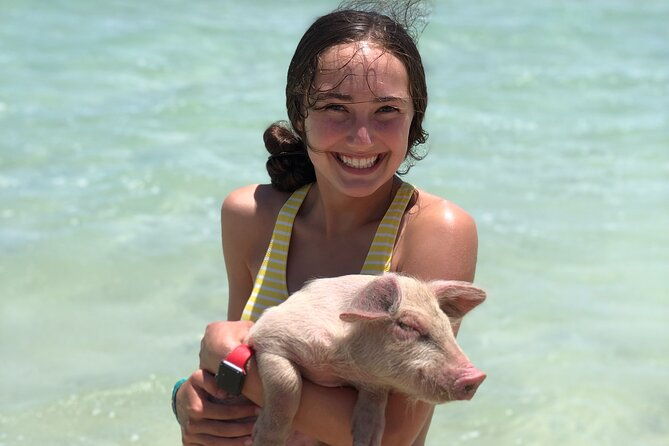 swimming-pigs-half-day-charter-on-cruisin-tiki-bar-boat-8-persons