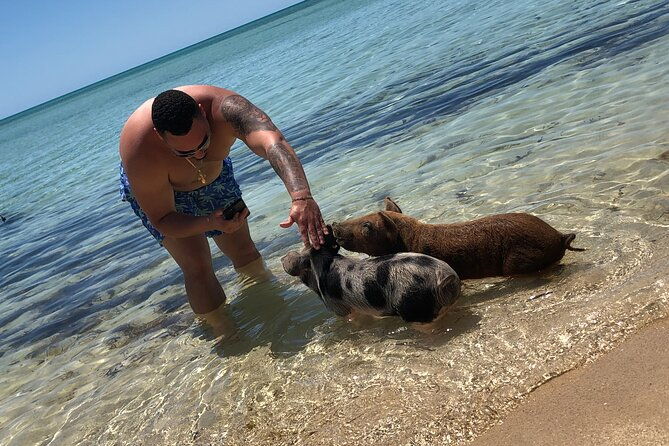 swimming-pigs-half-day-charter-on-cruisin-tiki-bar-boat-8-persons