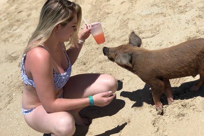 swimming-pigs-half-day-charter-on-cruisin-tiki-bar-boat-8-persons
