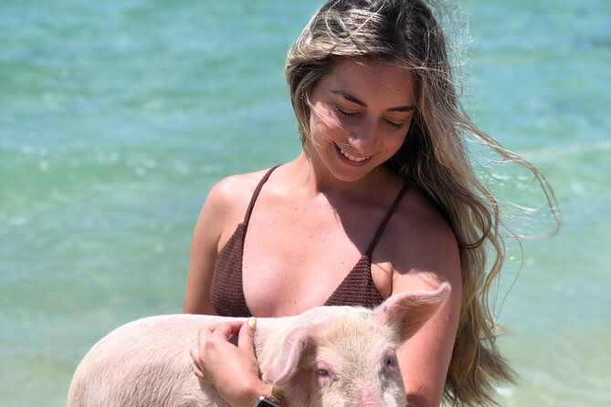 swimming-pigs-half-day-charter-on-cruisin-tiki-bar-boat-8-persons