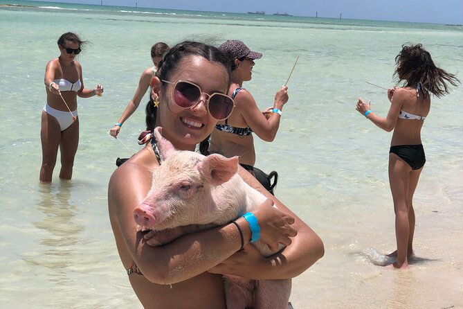 swimming-pigs-half-day-charter-on-cruisin-tiki-bar-boat-8-persons