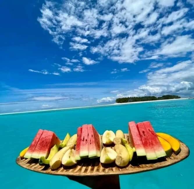 Swimming with dolphins and snorkeling mnemba island - Return Journey: Relaxed and Satisfied