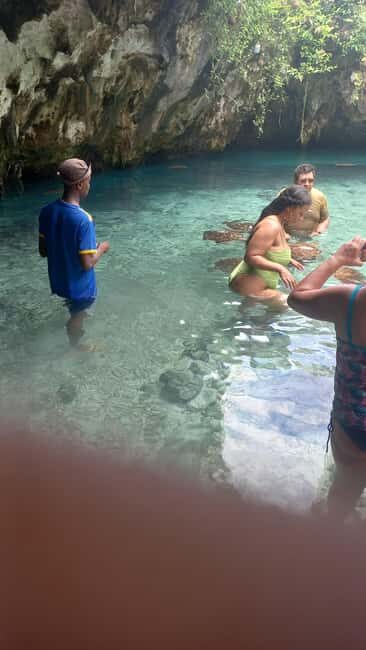 Swimming with dolphins in kizimkazi +snorkeling - The Value of the Experience
