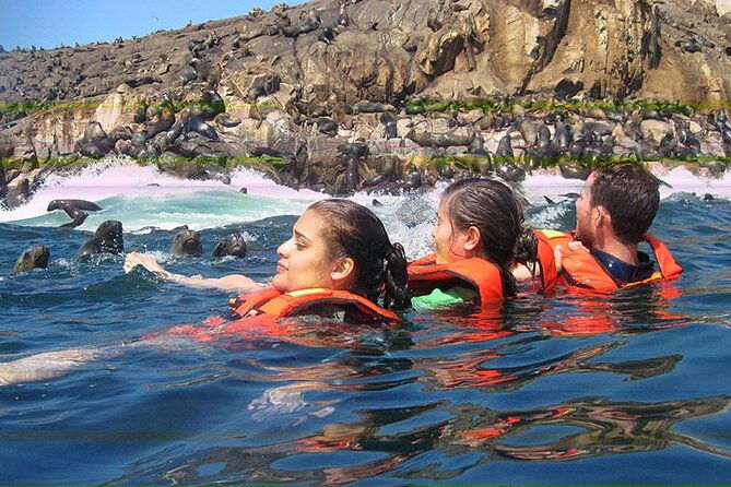 swimming-with-sea-lions-in-islas-palomino-lima