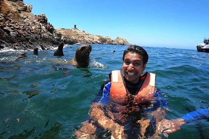 swimming-with-sea-lions-in-islas-palomino-lima