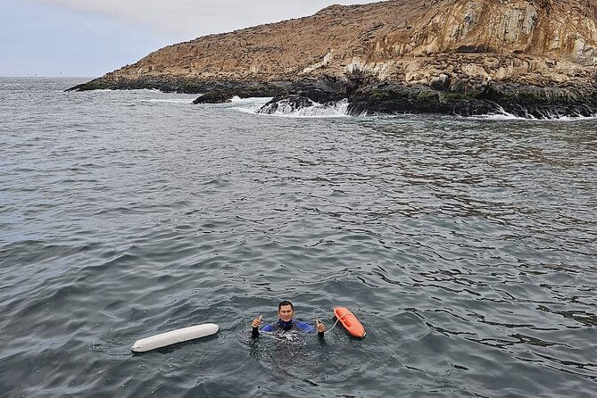 swimming-with-sea-lions-in-lima-2
