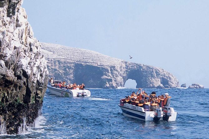swimming-with-sea-lions-in-lima-2