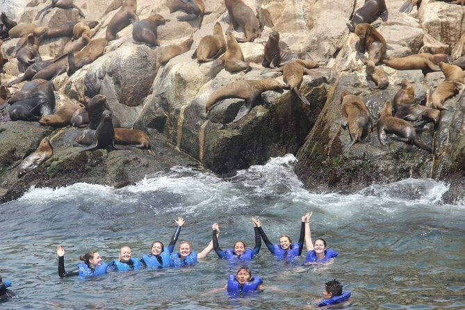 swimming-with-sea-lions-in-lima-2