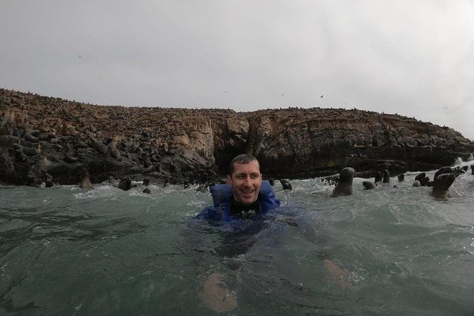 swimming-with-sea-lions-in-lima