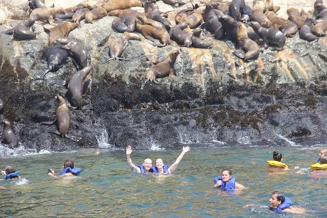 swimming-with-sea-lions-in-lima