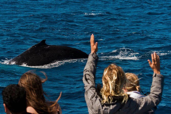 Swimming with the Whale Sharks - Ningaloo Reef (Exmouth) - Frequently Asked Questions