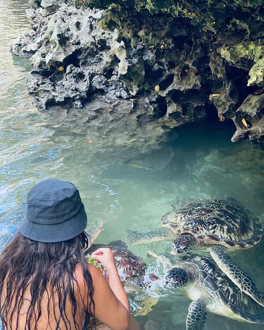 SWIMMING WITH TURLTLES AT BARAKA AQUARIUM - Final Thoughts
