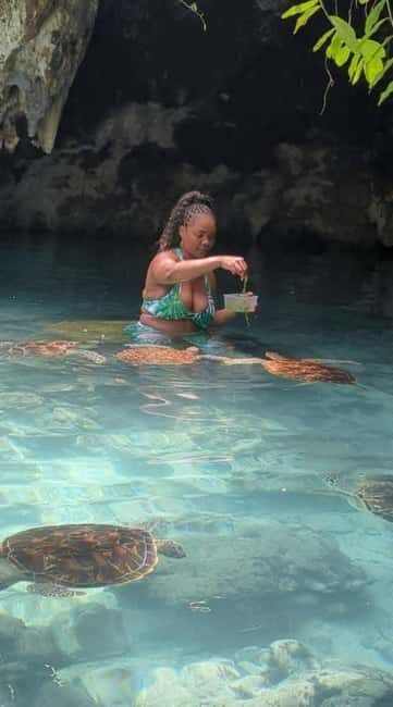 Swimming With Turtle at Baraka aquarium - Key Points