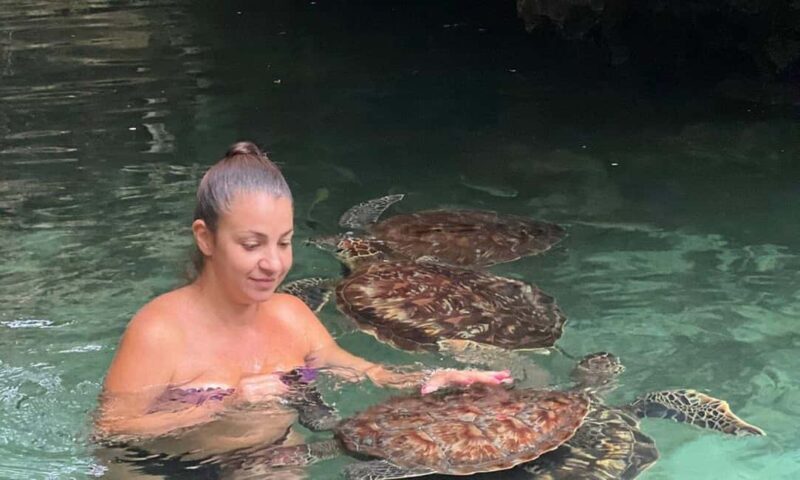 Swimming With Turtle at Baraka aquarium - What Makes This Tour Stand Out?
