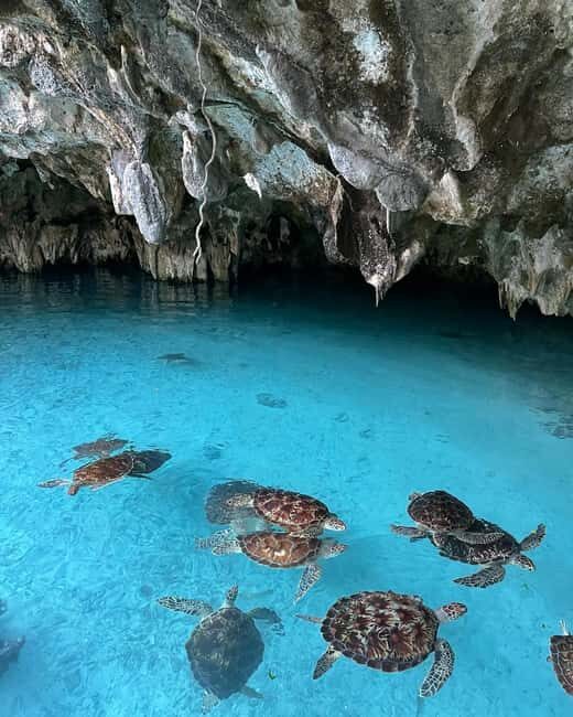 SWIMMING WITH TURTLES AT SALAAM CAVE AT KIZIMKAZI ZANZIBAR - The Sum Up