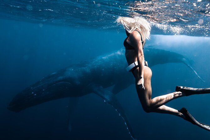 Swimming with Whales in Moorea (Half Day tour) - FAQ