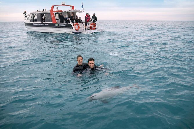 Swimming with Wild Dolphins in Akaroa - Final Thoughts