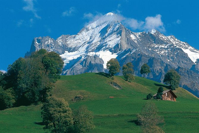 swiss-alps-interlaken-and-grindelwald-day-trip-from-zurich