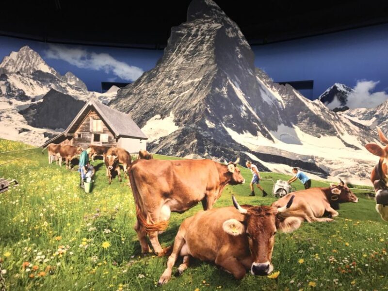 Swiss Chocolate Safari - Who Should Consider This Tour?