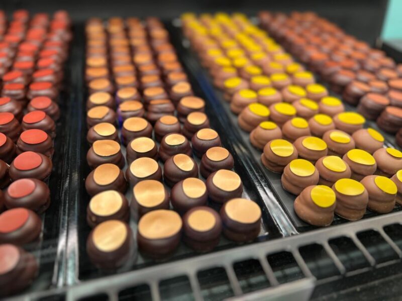 Swiss Chocolate Safari - FAQ