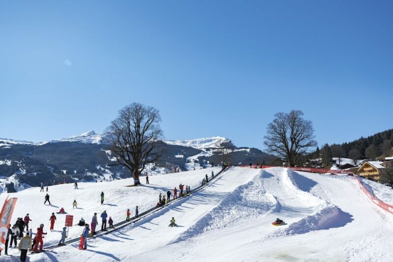 Swiss Ski Experience in the Jungfrau Region - What Reviewers Say & Insights