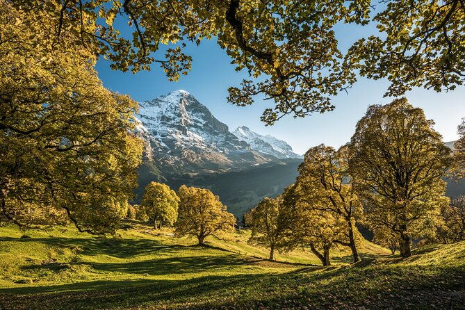 swiss-villages-grindelwald-and-interlaken-day-trip-from-zurich