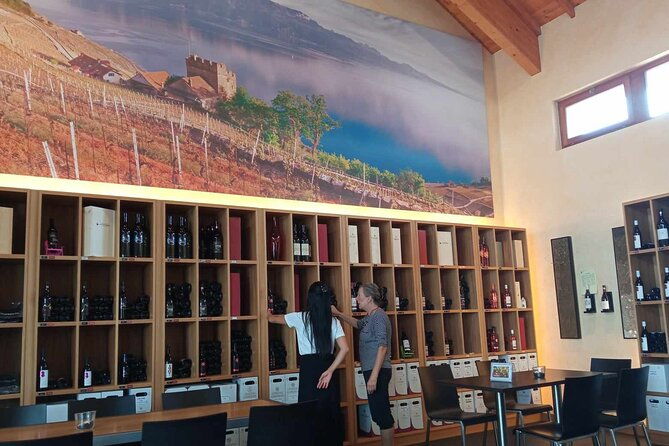 swiss-vineyard-wine-tasting-tour-in-vaud
