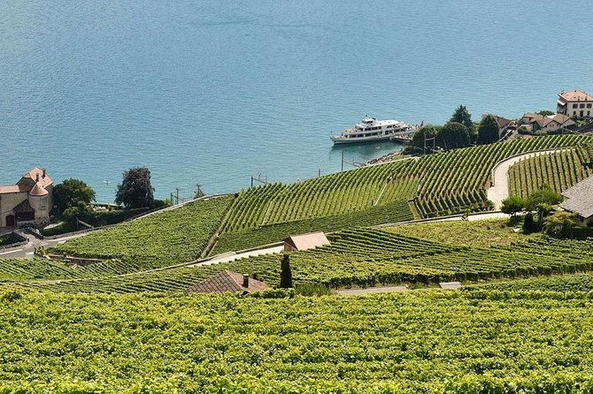 swiss-wine-tasting-at-lavaux-vineyards-private-trip-from-geneva