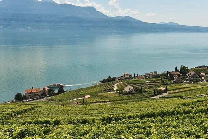 swiss-wine-tasting-at-lavaux-vineyards-private-trip-from-geneva