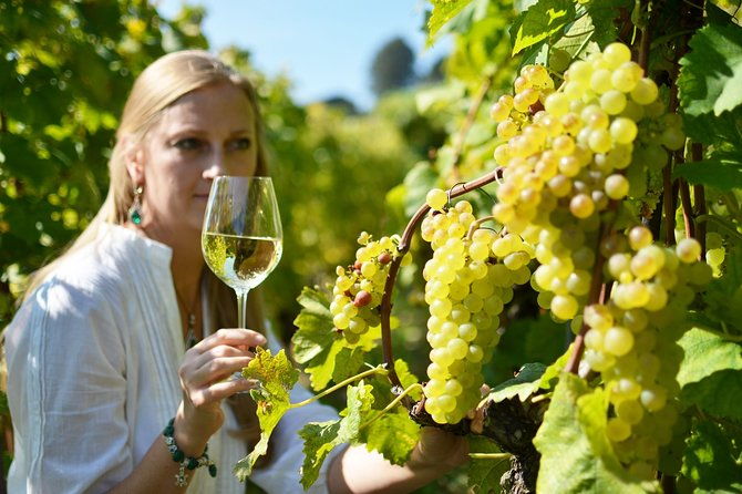 swiss-wine-tasting-at-lavaux-vineyards-private-trip-from-geneva
