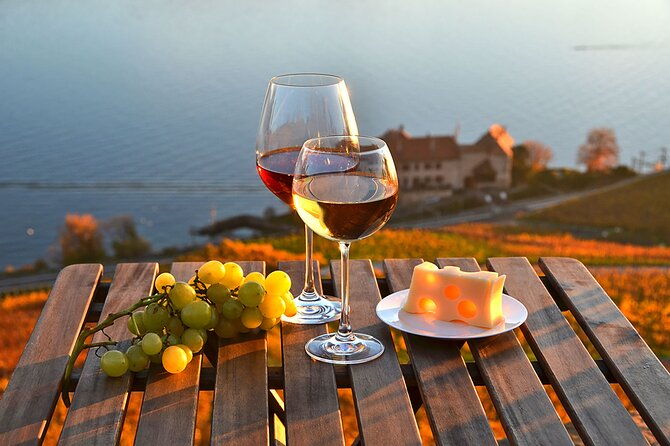 swiss-wine-tasting-at-lavaux-vineyards-private-trip-from-geneva
